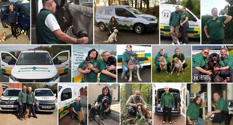 Animals at Home Franchise