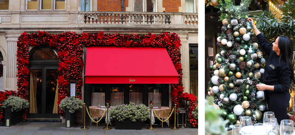The Christmas Decorators Franchise